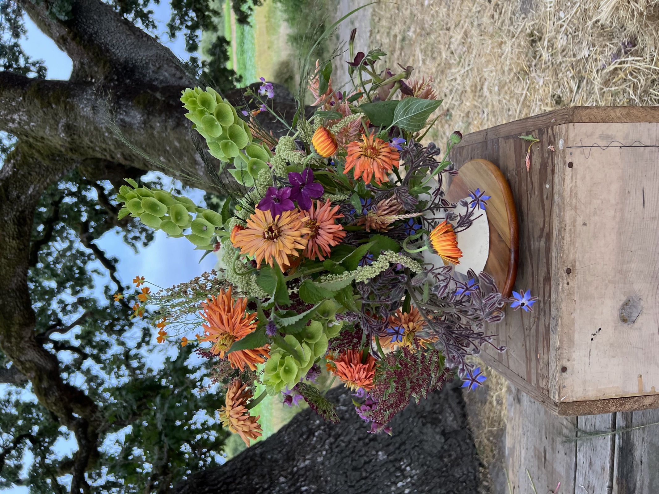 A finished arrangement of marigolds, zinnias, and Bells of Ireland on a small wooden box, oak tree behind.